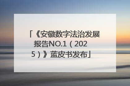 《安徽数字法治发展报告NO.1（2025）》蓝皮书发布