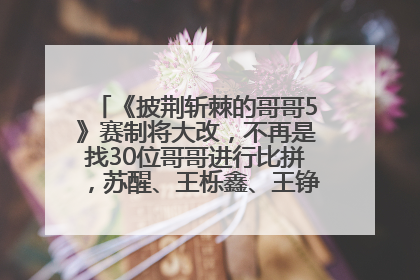 《披荆斩棘的哥哥5》赛制将大改，不再是找30位哥哥进行比拼，苏醒、王栎鑫、王铮亮、张远等多名男团选手被曝将参加