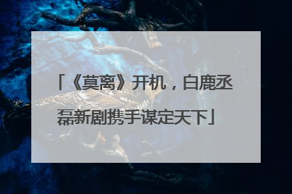 《莫离》开机，白鹿丞磊新剧携手谋定天下
