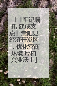 「牢记嘱托 建成支点」崇阳县经济开发区：优化营商环境 厚植兴业沃土