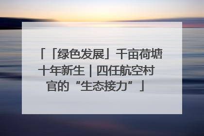 「绿色发展」千亩荷塘 十年新生｜四任航空村官的“生态接力”