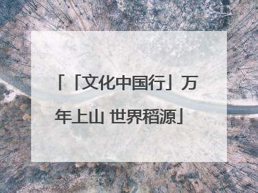 「文化中国行」万年上山 世界稻源