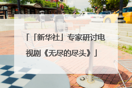 「新华社」专家研讨电视剧《无尽的尽头》