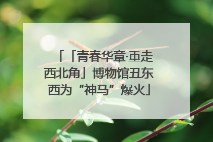 「青春华章·重走西北角」博物馆丑东西为“神马”爆火