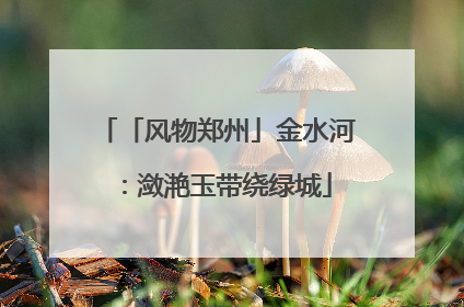 「风物郑州」金水河：潋滟玉带绕绿城
