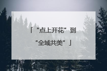 “点上开花”到“全域共美”