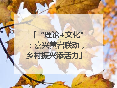 “理论+文化”：嘉兴黄岩联动，乡村振兴添活力