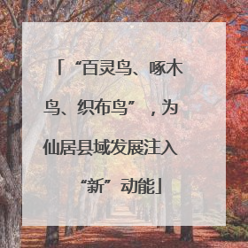 “百灵鸟、啄木鸟、织布鸟”，为仙居县域发展注入“新”动能