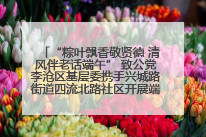 “粽叶飘香敬贤德 清风伴老话端午” 致公党李沧区基层委携手兴城路街道四流北路社区开展端午节主题活动