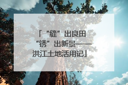 “缝”出良田 “锈”出新景——洪江土地活用记