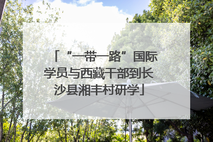 “一带一路”国际学员与西藏干部到长沙县湘丰村研学