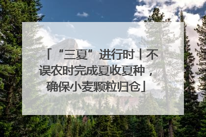 “三夏”进行时丨不误农时完成夏收夏种，确保小麦颗粒归仓