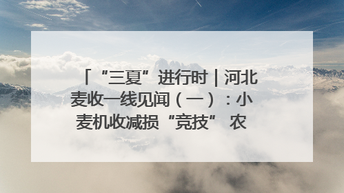 “三夏”进行时｜河北麦收一线见闻（一）：小麦机收减损“竞技” 农机高手麦田“过招”
