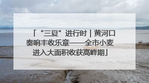 “三夏”进行时｜黄河口奏响丰收乐章——全市小麦进入大面积收获高峰期