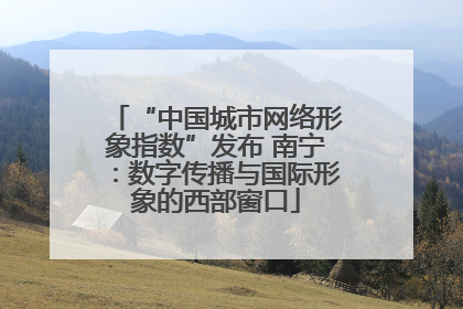 “中国城市网络形象指数”发布 南宁：数字传播与国际形象的西部窗口
