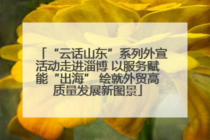 “云话山东”系列外宣活动走进淄博 以服务赋能“出海” 绘就外贸高质量发展新图景