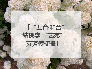 “五育·和合”结桃李 “艺苑”芬芳传捷报