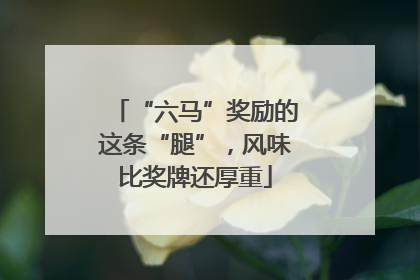 “六马”奖励的这条“腿”，风味比奖牌还厚重