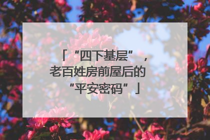 “四下基层”，老百姓房前屋后的“平安密码”