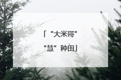 “大米哥”“慧”种田