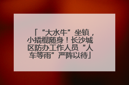 “大水牛”坐镇，小撬棍随身！长沙城区防办工作人员“人车等雨”严阵以待