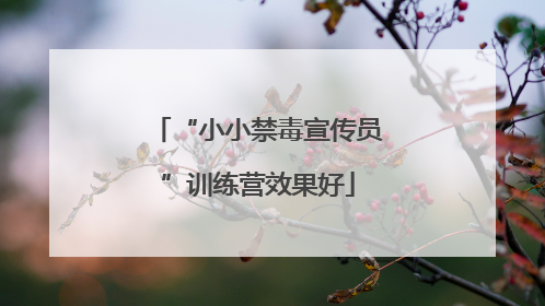 “小小禁毒宣传员”训练营效果好