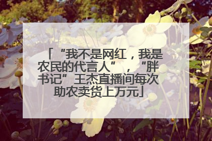 “我不是网红，我是农民的代言人”，“胖书记”王杰直播间每次助农卖货上万元