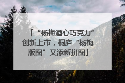 “杨梅酒心巧克力”创新上市，桐庐“杨梅版图”又添新拼图