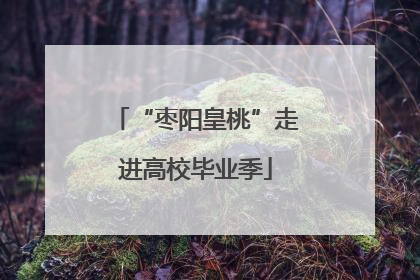 “枣阳皇桃”走进高校毕业季