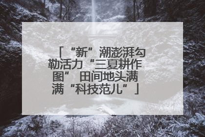 “新”潮澎湃勾勒活力“三夏耕作图” 田间地头满满“科技范儿”