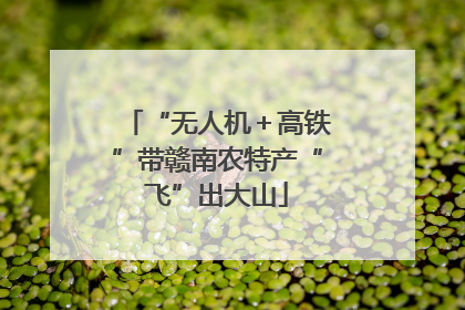 “无人机＋高铁”带赣南农特产“飞”出大山