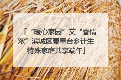 “暖心家园”艾“香情浓”滨城区秦皇台乡计生特殊家庭共享端午