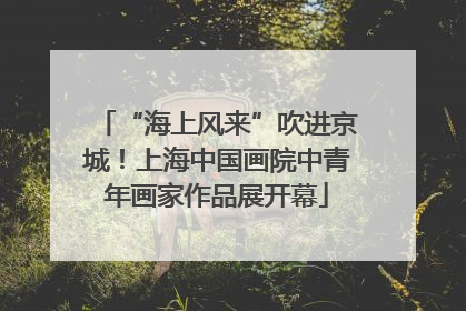 “海上风来”吹进京城！上海中国画院中青年画家作品展开幕