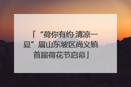 “荷你有约·清凉一夏”眉山东坡区尚义镇首届荷花节启幕