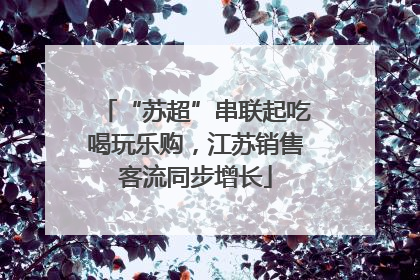 “苏超”串联起吃喝玩乐购，江苏销售客流同步增长