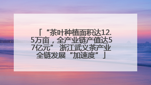 “茶叶种植面积达12.5万亩，全产业链产值达57亿元” 浙江武义茶产业全链发展“加速度”