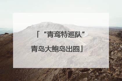 “青鸾特巡队”青岛大鲍岛出圈