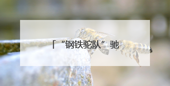 “钢铁驼队”驰欧亚 中欧班列加快山西开放步伐