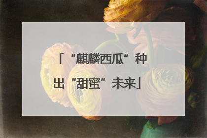 “麒麟西瓜”种出“甜蜜”未来