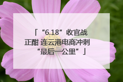 “6.18”收官战正酣 连云港电商冲刺“最后一公里”