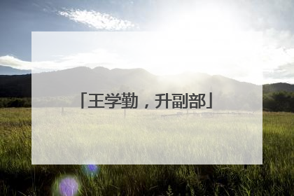 王学勤，升副部