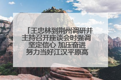 王忠林到荆州调研并主持召开座谈会时强调 坚定信心 加压奋进 努力当好江汉平原高质量发展排头兵