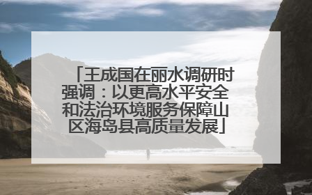 王成国在丽水调研时强调：以更高水平安全和法治环境服务保障山区海岛县高质量发展