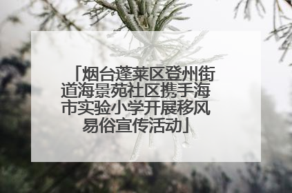 烟台蓬莱区登州街道海景苑社区携手海市实验小学开展移风易俗宣传活动