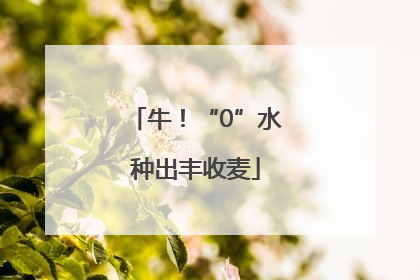 牛！“0”水种出丰收麦