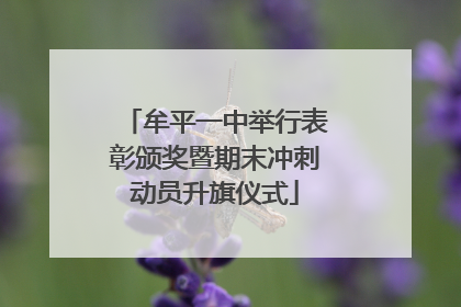 牟平一中举行表彰颁奖暨期末冲刺动员升旗仪式