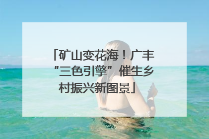 矿山变花海！广丰“三色引擎”催生乡村振兴新图景