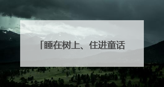睡在树上、住进童话 四川马边县把茶园变成“诗与远方”