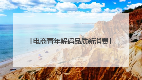 电商青年解码品质新消费
