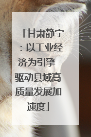 甘肃静宁：以工业经济为引擎 驱动县域高质量发展加速度
